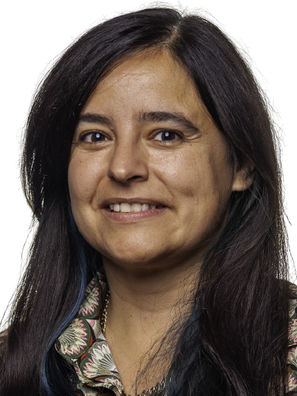 Ana Cristina Cardoso Dias Mesquita