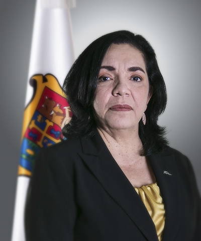 María De Lourdes Arteaga Reyna