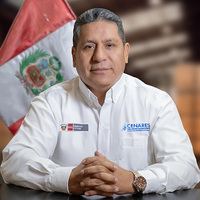 Percy Fernando Toledo Arbaiza