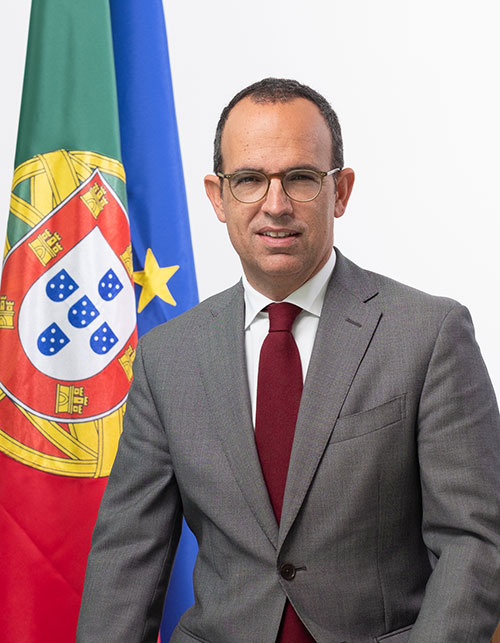 Pedro Adão E Silva