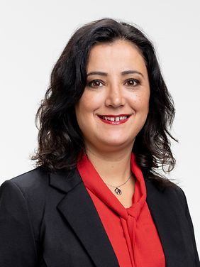 Gökay Akbulut