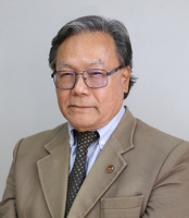 Manuel Cok Aparcana