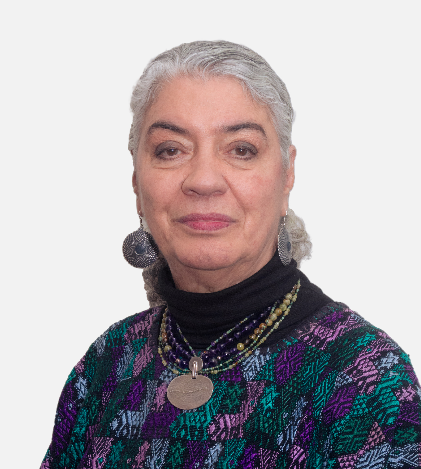 María Elvira Concheiro Bórquez