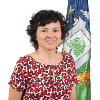 Núria Rovira Costas