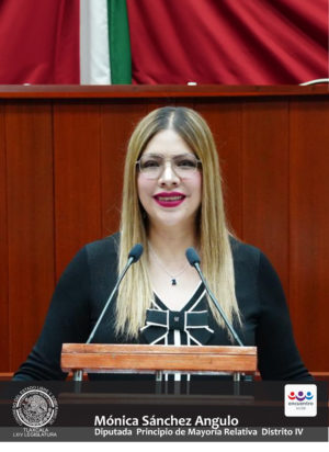 Monica Sánchez Angulo