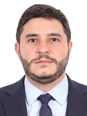 Mauricio Fonseca Ribeiro Carvalho De Moraes