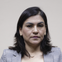 Erika Rocío Carrera Torres