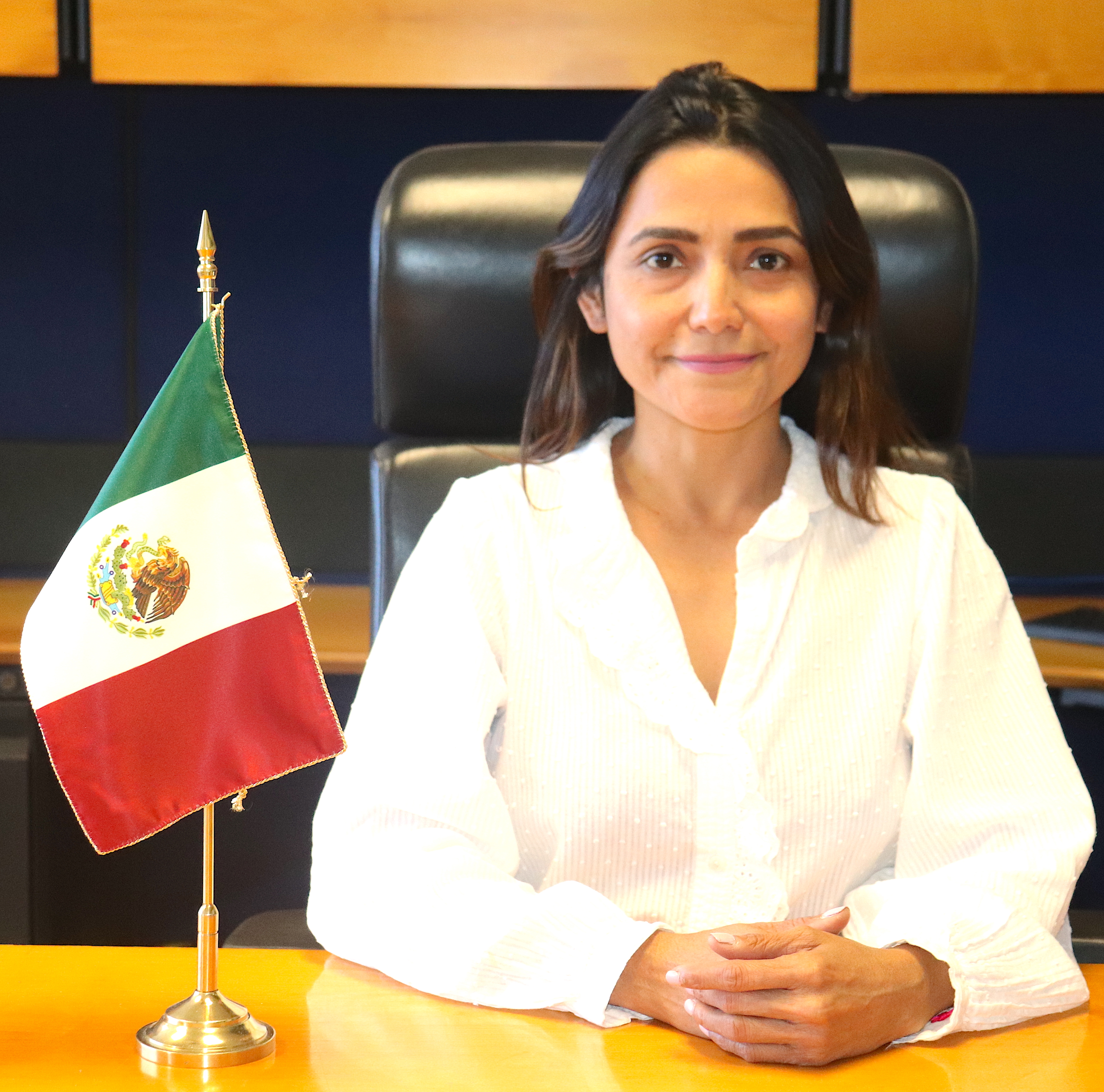 Coordinadora De Operación Y Estrategia Institucional