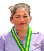 Jenny Marlene Huayllani Enriquez