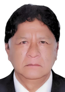 Manuel Fernando Agreda Sanchez