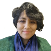 Dalia Luisa Abarca Castellanos