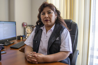 Viviana Yaneth Acero Mamani