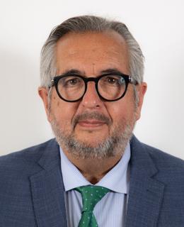Luis Martínez-Portillo Subero