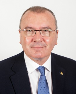 Carles Pellicer I Punyed