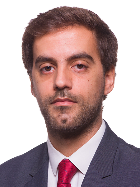 Francisco Fernandes Dinis