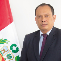 Frank Martín Tadeo Castro Barcenas