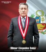 Dilmar Cespedes Salas