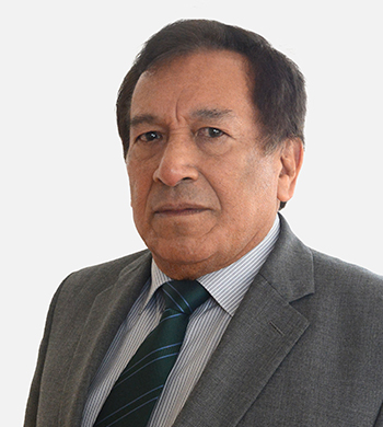 Víctor David Palacios Gutiérrez