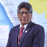 Carmelo Condori Cupi