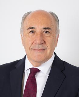José Ignacio Landaluce Calleja