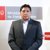 Melvin Neber Flores Vilca