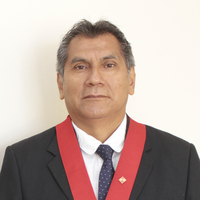Mario Eliseo Reyes Puma
