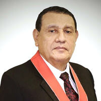 Alejandro Lamadrid Ubillus