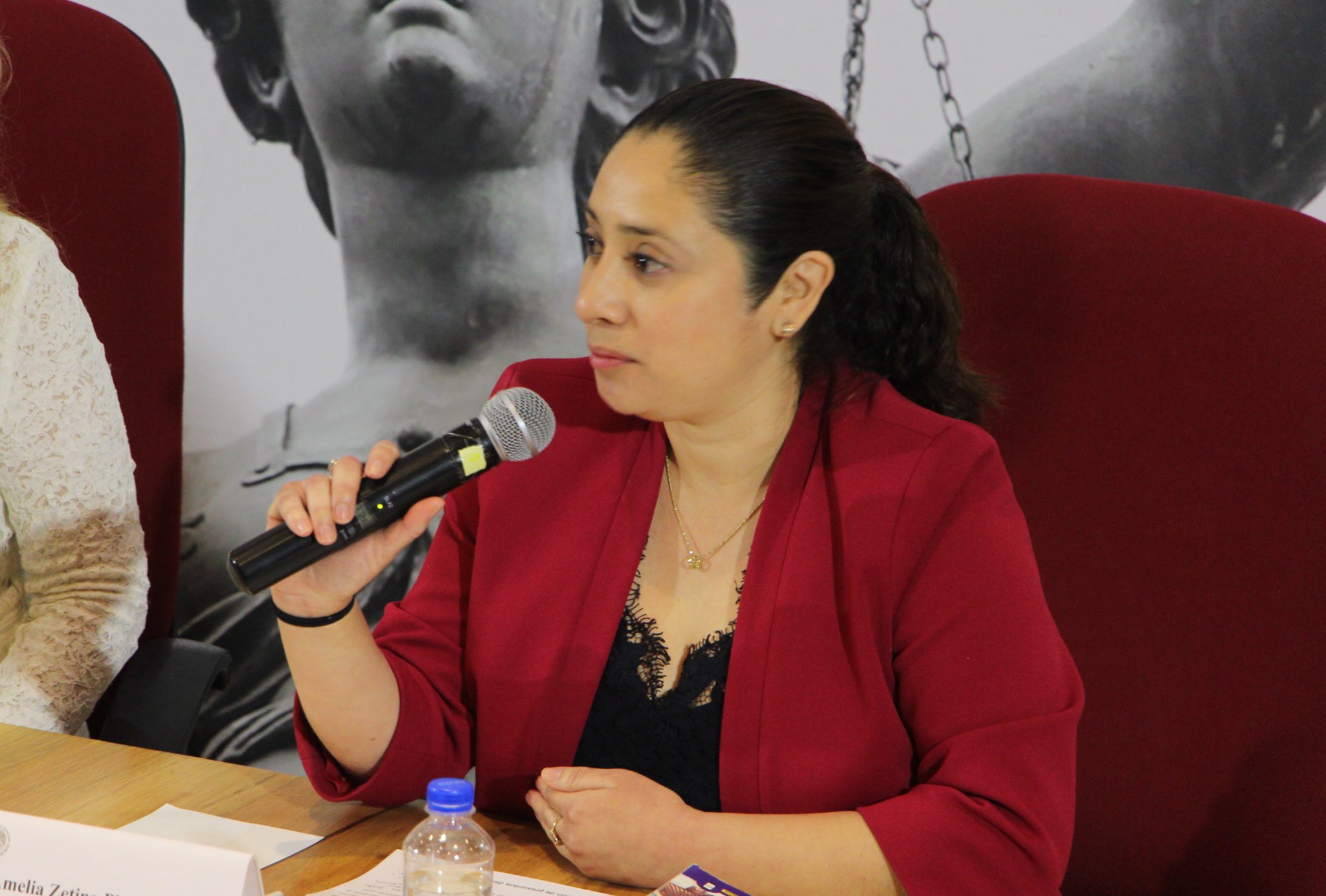 Amelia Zetina Pinelo