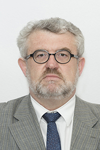 Miguel Falomir Faus