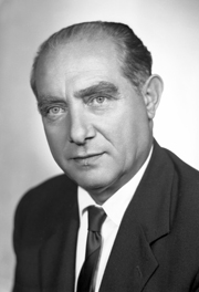 Ettore Vallauri