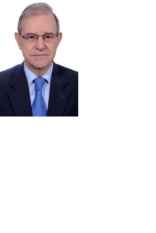 Miguel ángel Ballesteros Martín