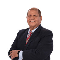 Luis Alfredo Palomino Reina