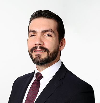 Vicepresidente De Supervisión Bursátil