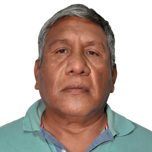Alcides Javier Manrique Benetre