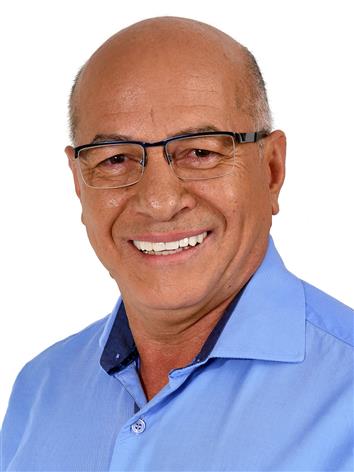 Alcides Ribeiro Filho