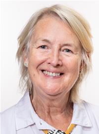 Siân Gwenllian