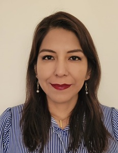 Lizbeth Condori Llanque