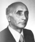 Domenico Petrella
