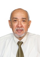 Jim Henry Merino Merino