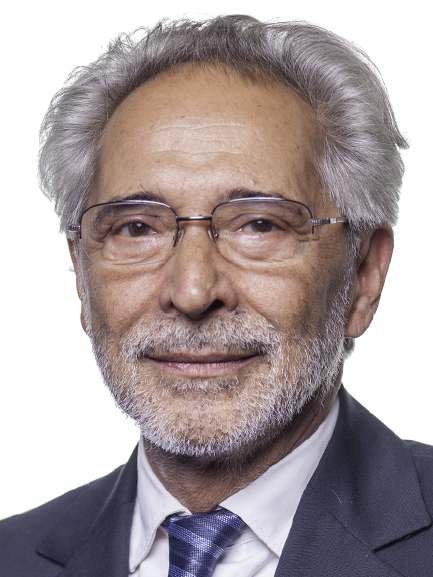 Pedro Carlos Da Silva Bacelar De Vasconcelos