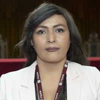 Celina Del Pilar Carbajal Zevallos