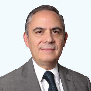 Vicepresidente De Supervisión De Banca De Desarrollo Y Finanzas Populares