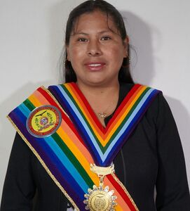 Haydee Castro Lipes