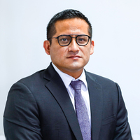 Nicolás Enrique Llanos Flores