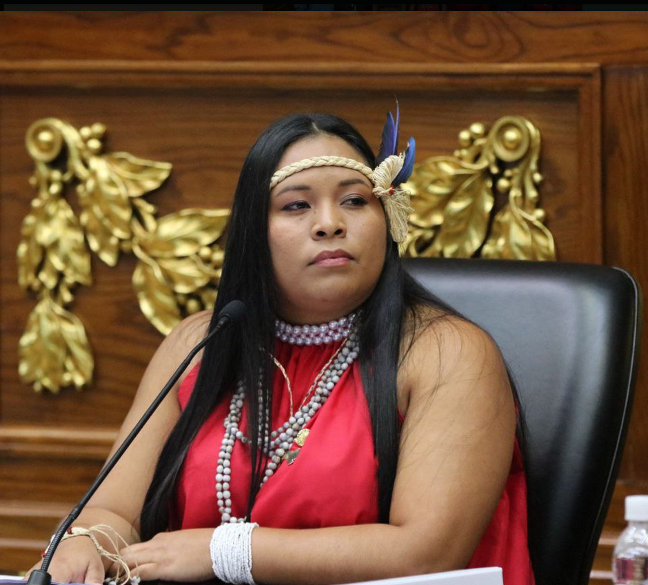 Kariela Elismar Aray Medina