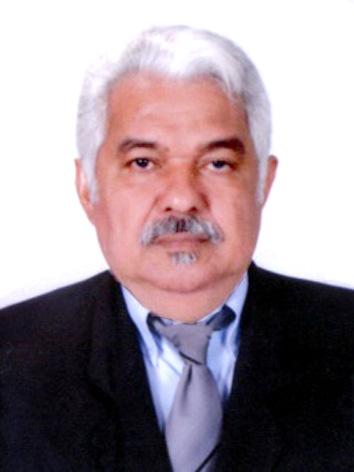 Professor Setimo
