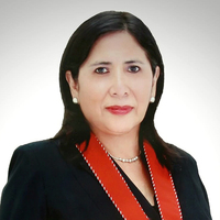 Alicia Palomino Villaverde