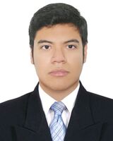 Gabriel Amed Meres Vargas