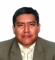 Jose David Peñalva Bustincio