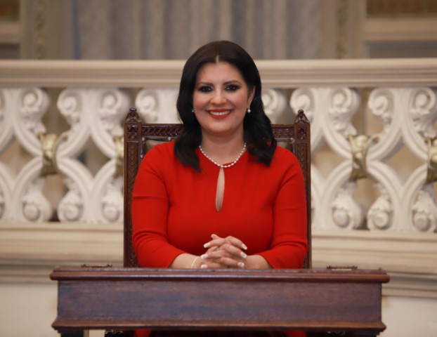 Delfina Pozos Vergara